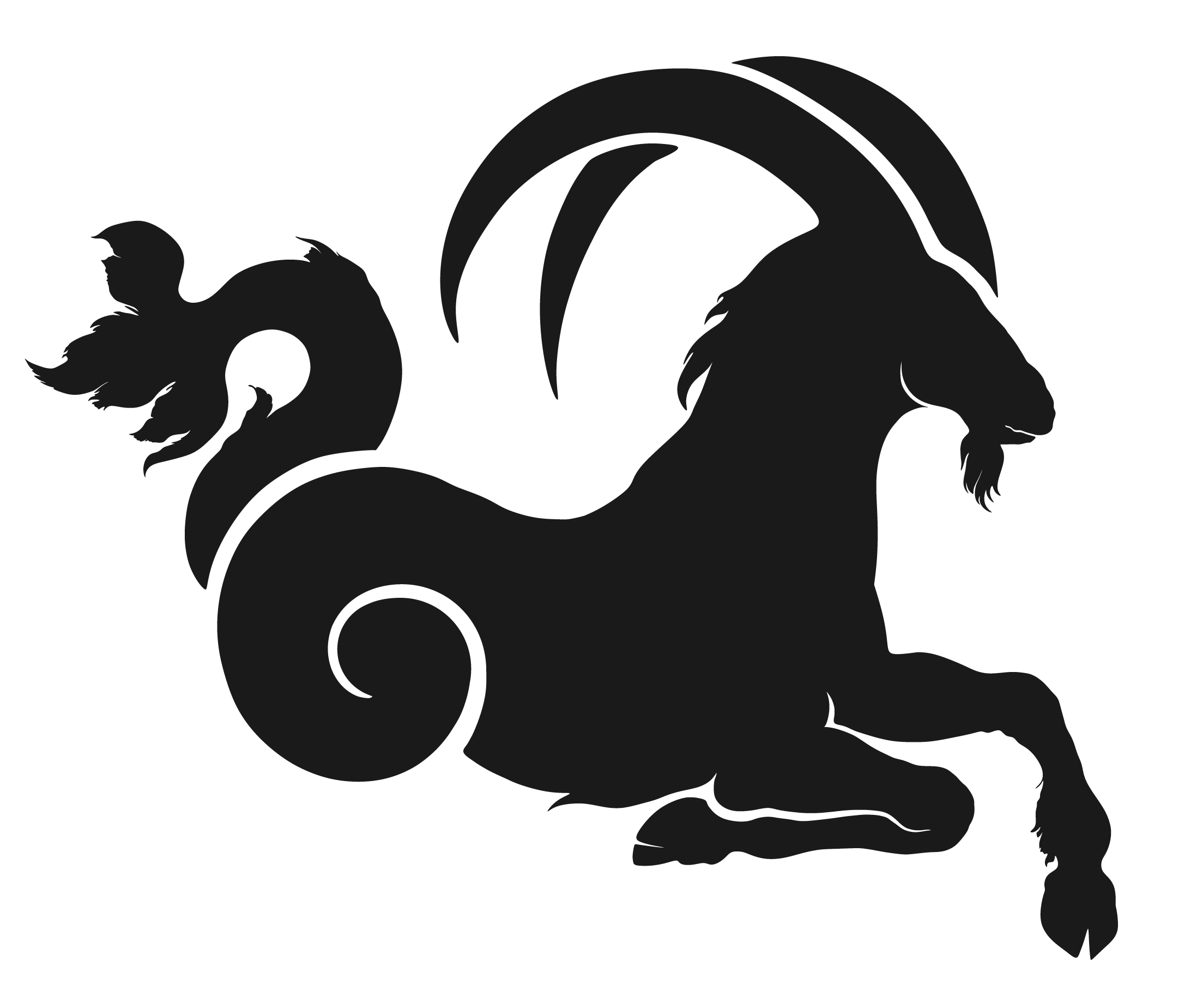 Capricorn capricorn
