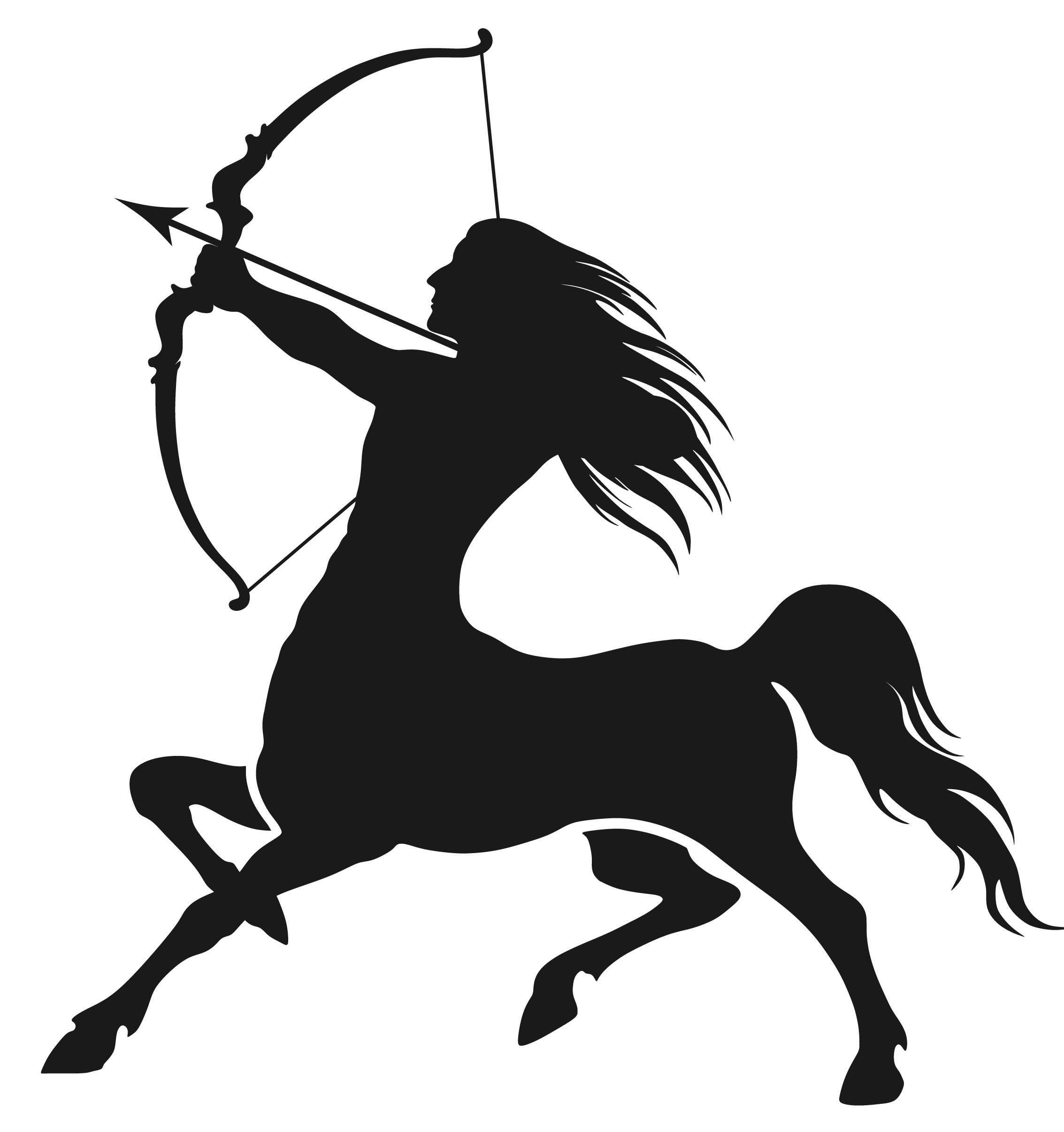 Sagittarius sagittarius