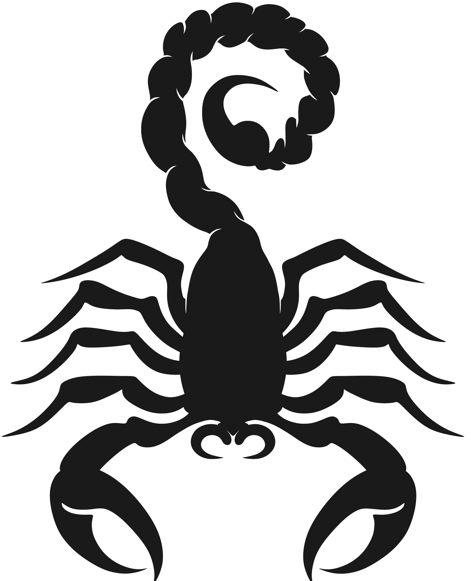 Scorpio scorpio