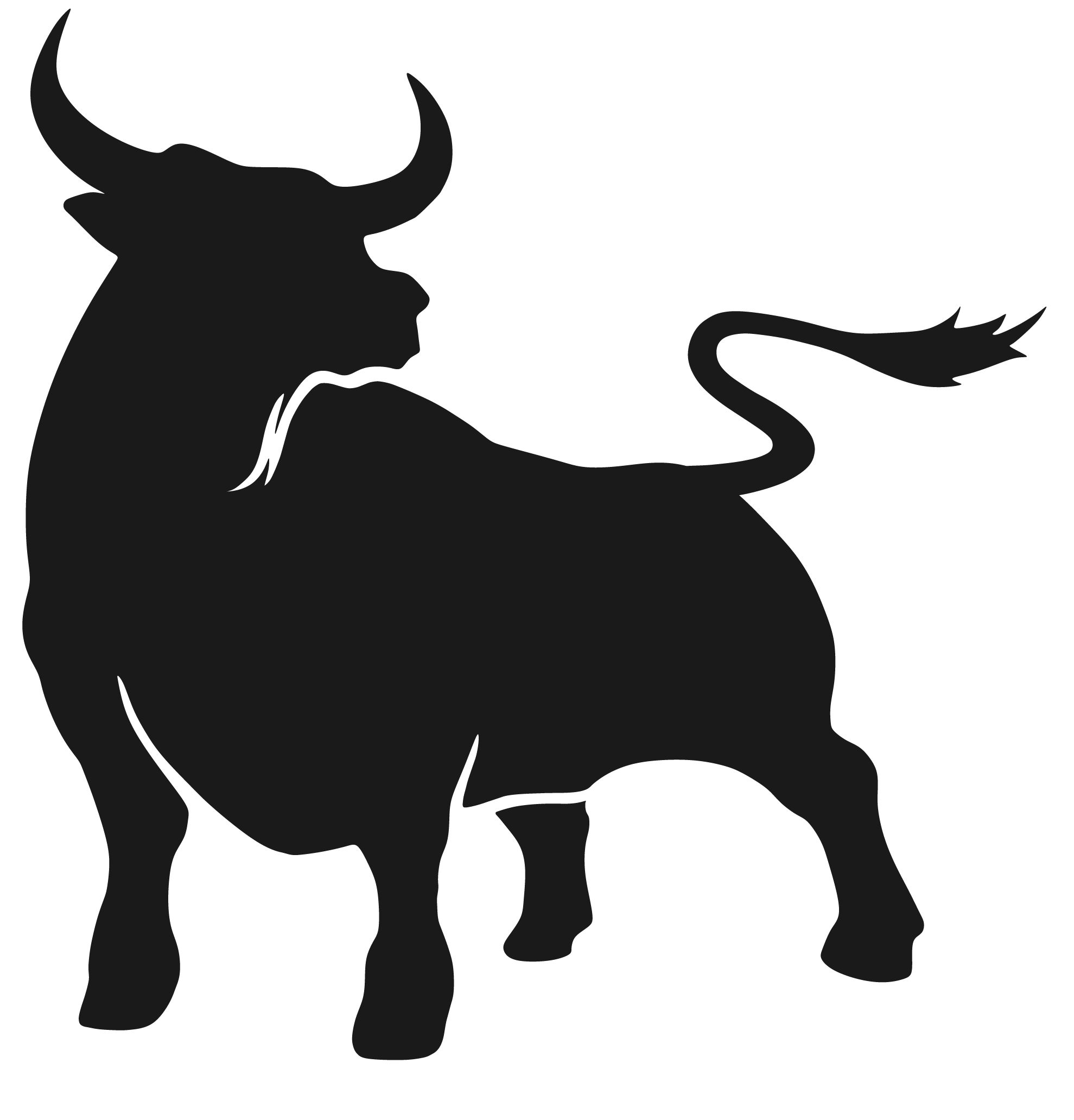Taurus taurus